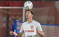 Robert Lewandowski has helped Poland to the last 16 of the World Cup for the first time since 1986