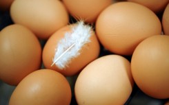 File: Fresh eggs. AFP/Fred Tannueau