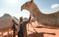 'There is a special language between the owner of a camel and his camel,' said 36-year-old herder Hamad al-Marri 