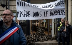 'Misery in the Bordeaux vineyards': winemakers in the southwestern region want compensation in exchange for pulling up part of their vineyards