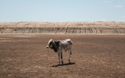 The longest and most severe drought is sweeping through the Horn of Africa