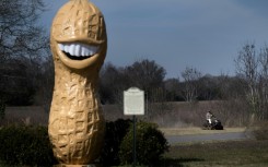 A 13-foot statue of a peanut with Jimmy Carter's smile was brought to Plains after a 1976 presidential rally in Evansville, Indiana