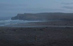 The New Yorker says it gets nearly 11 million monthly video views across its YouTube channel and newyorker.com, with documentaries such as "Haulout" -- seen here -- at the top of the list