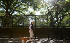 Walking 8,000 steps or more one or two days a week may reduce the risk of an early death, according to a new study