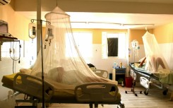 People reinfected with dengue, which comes in four closely related serotypes, often develop severe disease