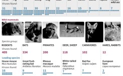 Spillover: sources of zoonotic viruses