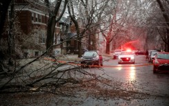 One of the hundreds of trees toppled by an ice storm that hit Montreal