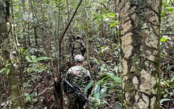 Some 200 soldiers and Indigenous people with knowledge of the terrain are combing an area of some 320 square kilometers (124 square miles) -- about double the size of Washington, D.C.