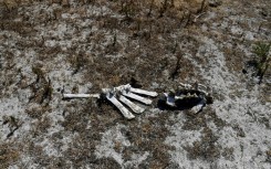 After a prolonged drought left scorched fields as shown here at Spain's southern Donana National Park the country is now suffering torrential rain
