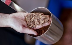 A new black gold? Biochar from cocoa bean shells