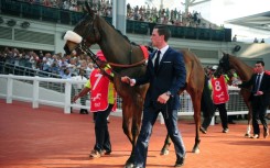 The parade ring at Kranji in 2015
