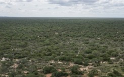The discovery of bodies buried in the 325-hectare (800-acre) Shakahola forest shocked Kenyans