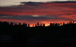 The sun rises behind a ridge of trees September 13, 2019 near Missoula, Montana
