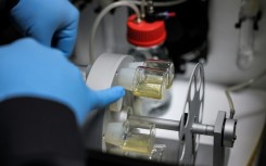 The labs found different ways to encourage stem cells to grow into a structure that resembles a human embryo, for research purposes