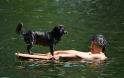 Beijing appeared to log its hottest temperature since reliable records began