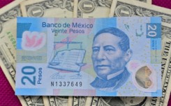 The Mexican peso is among the world's best performing currencies this year