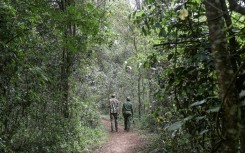 Ruto said the government would push ahead with plans to plant 15 billion trees over 10 years