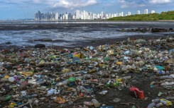 Much of the plastic pollution in the sea is from single-use items