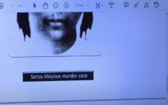 Senzo Meyiwa murder Identikit