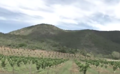 Eastern Cape disputed land