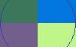 Macto occuro pecus pneum.