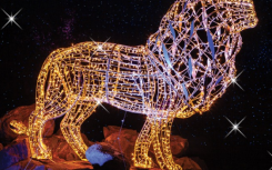 A lion featuring in the Joburg Festival of Lights.