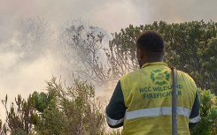 Firefighters battle blaze in the Western Cape.