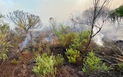 The fire continues to burn in Cape Town. eNCA/Kevin Brandt