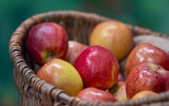 File: A basket of apples.