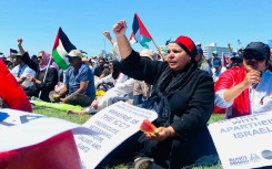 Palestynse betoger