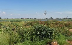 Sewage from the wetland frequently floods homes and a school. eNCA/Moloko Moloto