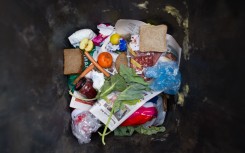File: Food thrown in a bin. AFP/DPA/Patrick Pleul