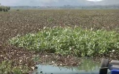 The Hartbeespoort Dam.