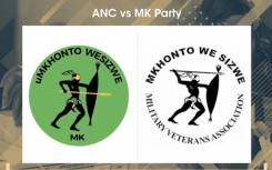 The battle for logos and brand identity is not new on the South African political landscape.