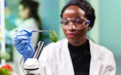 SA biodiversity economy and investment indaba - a collective action for thriving nature and people