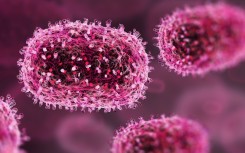 File: Mpox (previously monkeypox) virus particles. SIA/Science Photo Library via AFP