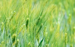 Adrien Fillon / Hans Lucas / Hans Lucas via AFP