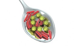 File: A conceptual illustration of foodborne infection. 