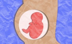 File: An illustration of a pregnant woman. Thom Leach/Science Photo Library via AFP