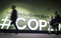 cop29