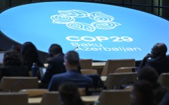 Participants listen to speeches during the United Nations Climate Change Conference. AFP/Alexander Nemenov