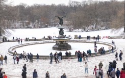 Central Park covered in snow. William Volcov/Brazil Photo Press via AFP