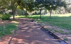 Inner City Decay / Hloni Mtimkulu