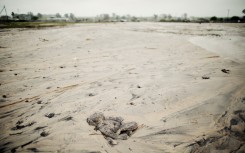 File: A teddy bear is buried in the mud in a flood-affected area. AFP/Gianluigi Guercia