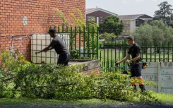 Operation Sparkle includes key repairs, removing weeds and repainting street curbs for better visibility.
