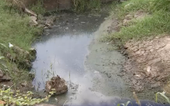 Sewage entering the ocean.