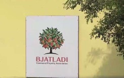 The Zebediela Citrus Estate in Limpopo.