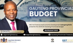 Maile gauteng budget.jpg