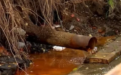 Bosmont Blocked Culverts / eNCA 