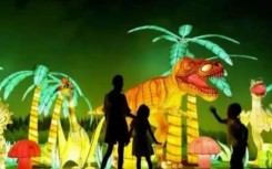 Magical light fest.JPG